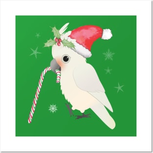 A cute Christmas goffin cockatoo Posters and Art